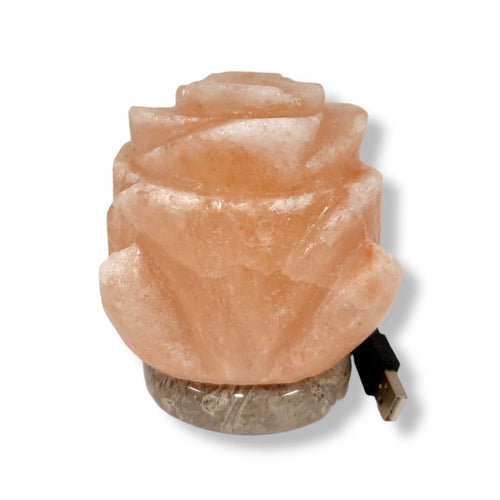 USB Himalayan Pink Rock Salt Lamp - Carved Shape Crystal LED Light (Australia Shipping Only)
